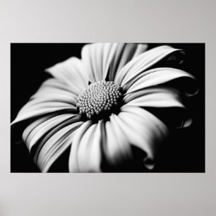 Poster Margarida