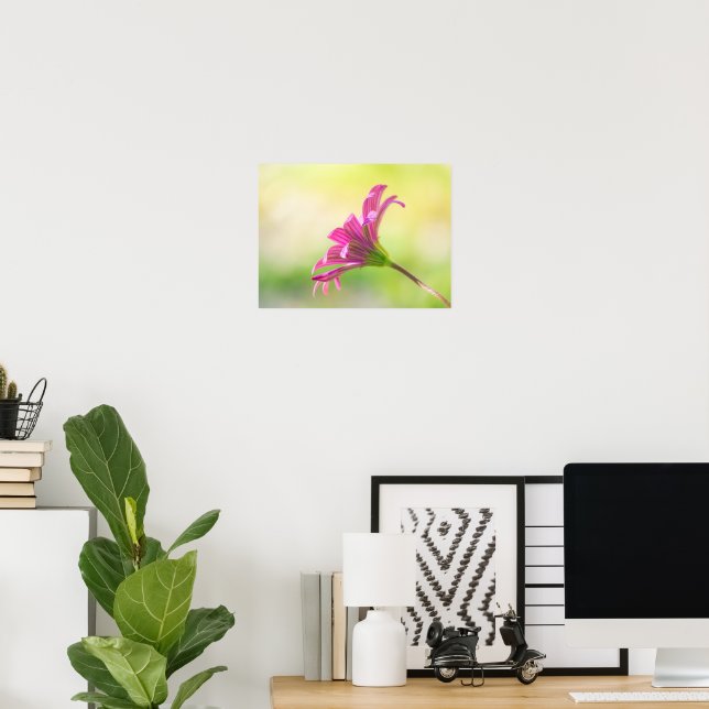 Poster Margarida Africana Rosa Etérea (Escritório em casa)