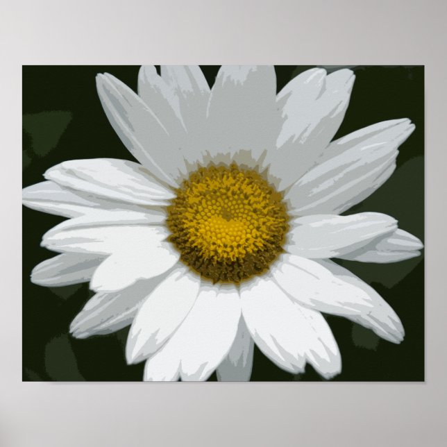 Poster Margarida Branca Única (Frente)
