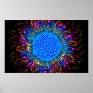 Poster Margarida do Sunburst (invertida)