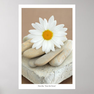 Póster Margarida e pedras
