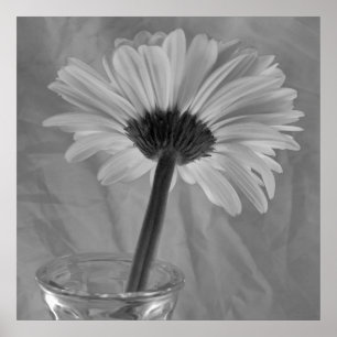 Póster Margarida preto e branco
