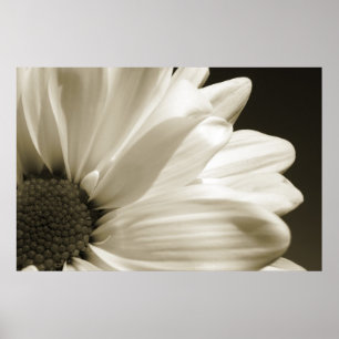 Poster Margarida preto e branco