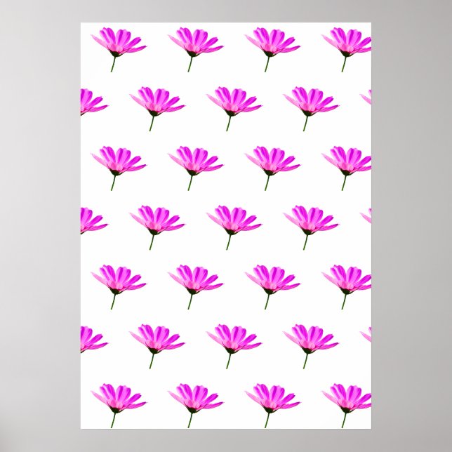 Poster Margarida Rosa  (Frente)