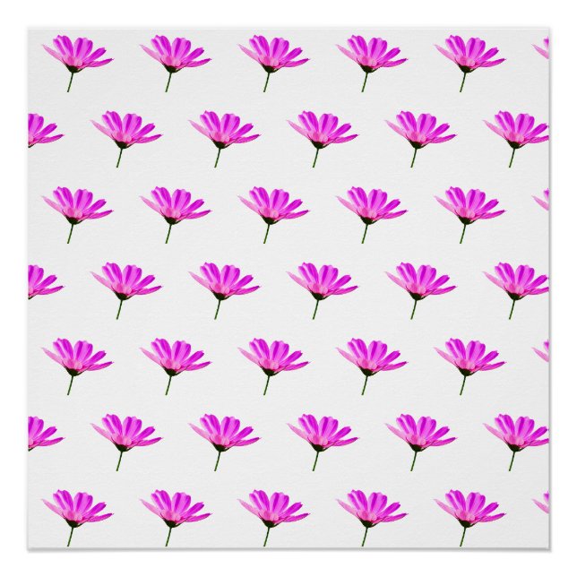 Póster Margarida Rosa  (Frente)