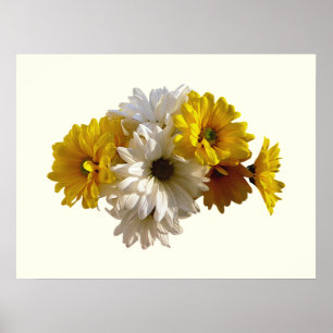 Poster Margaridas brancas e amarelas