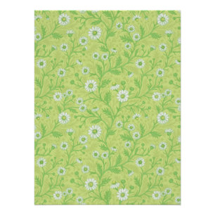 Póster Margaridas em branco e verde sobre verde mel