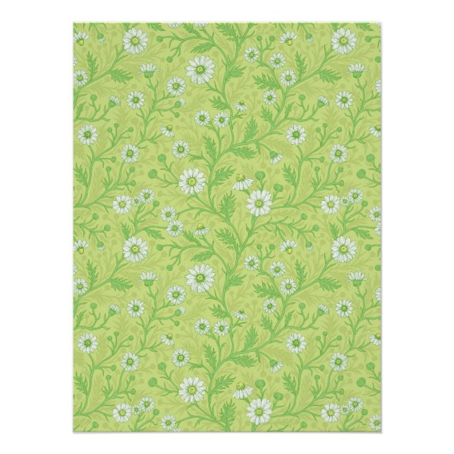 Póster Margaridas em branco e verde sobre verde mel (Frente)