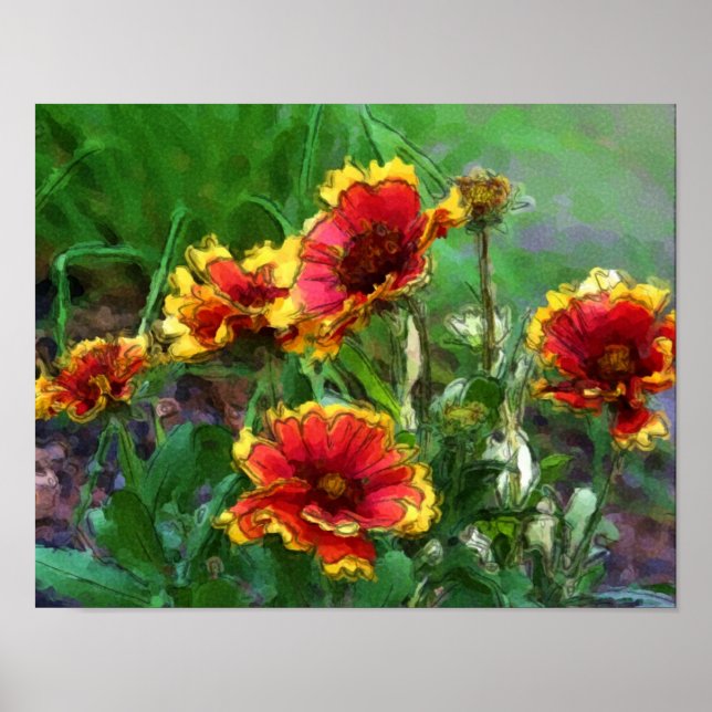 Póster Margaridas Flor de Cobertor Aquarela (Frente)