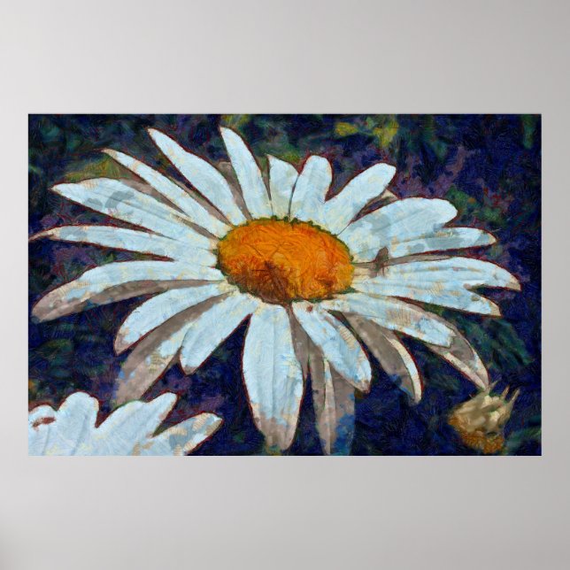 Poster Marguerite Daisy com Insetos Alados Arte Floral (Frente)