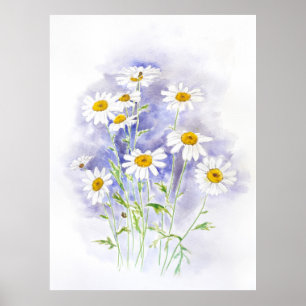 Poster Marguerite daisy hand pintada aquarela