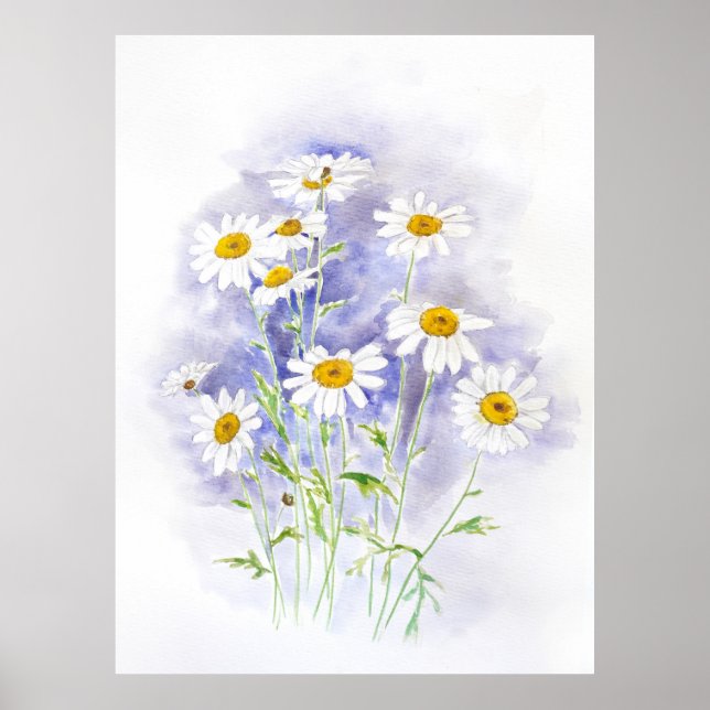 Poster Marguerite daisy hand pintada aquarela (Frente)