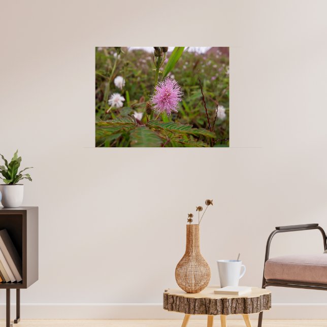 Poster Maria fecha a porta  - Campo (Sala de Estar 3)