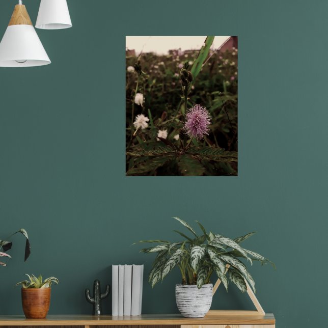 Poster Maria-fecha-a-porta - ROSA (Sala de Estar 1)