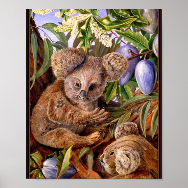 Poster Marianne North - Austrália Bears and Pears (Frente)