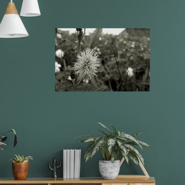 Poster MariaS-fecha-a-porta (Sala de Estar 1)