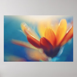 Poster Marigold Amarelo Flor Laranja Azul