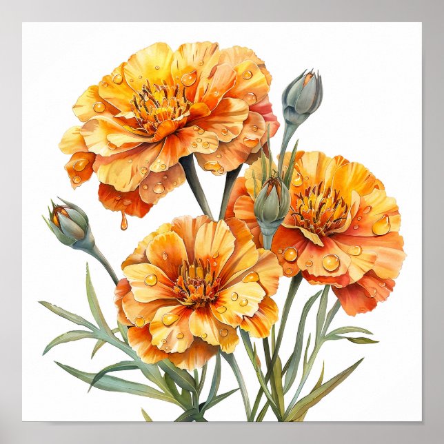 Poster Marigold Impressão, Orange Flowers Wall Art (Frente)