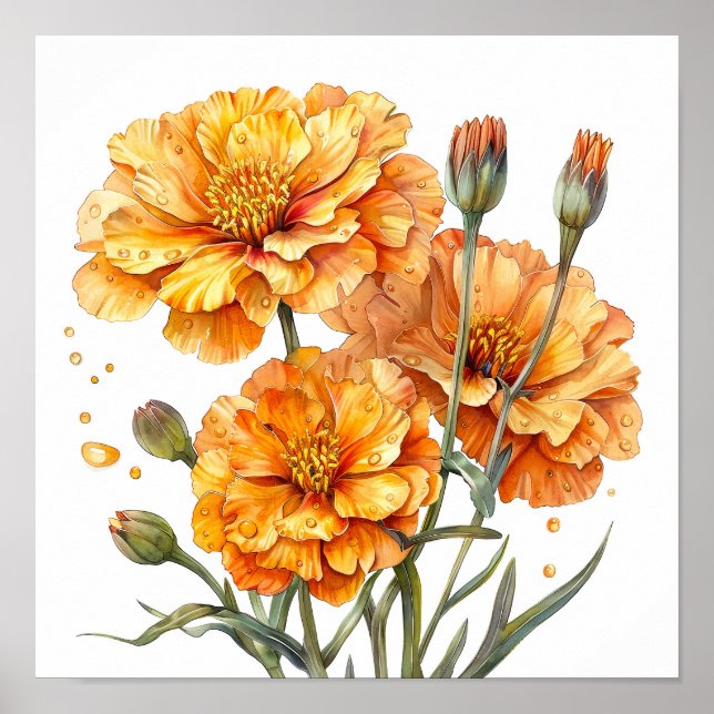 Poster Marigold Impressão, Orange Flowers Wall Art (Frente)