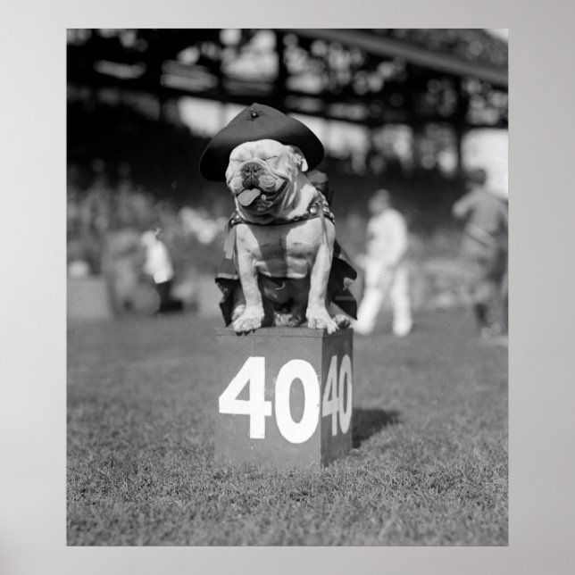 Poster Marine Corps Mascot Jiggs: 1923 (Frente)