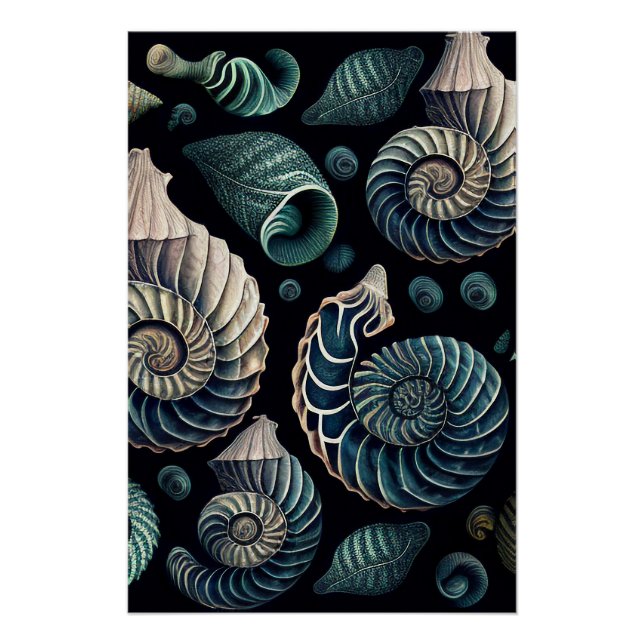 Póster Marine Treasures (Frente)