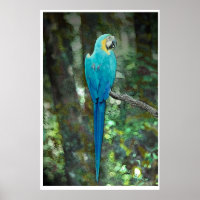 Marinha azul-e-amarela de JungleWalk.com