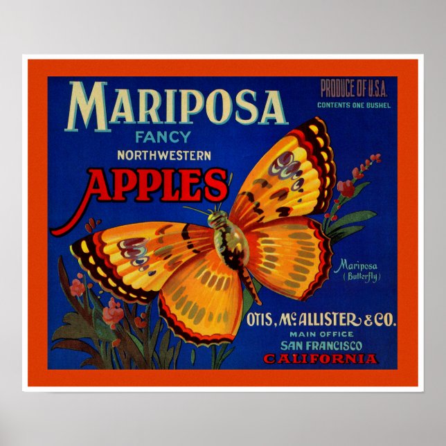 Poster Mariposa Apple (Frente)