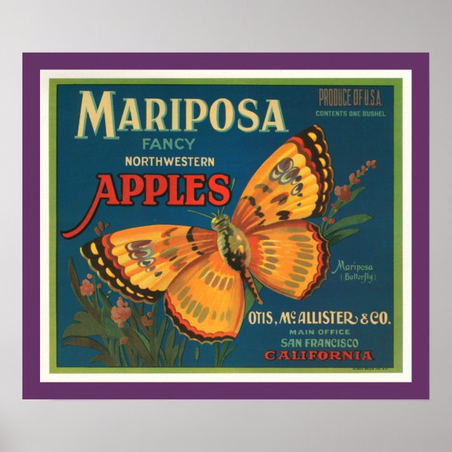 Poster Mariposa Apple (Frente)
