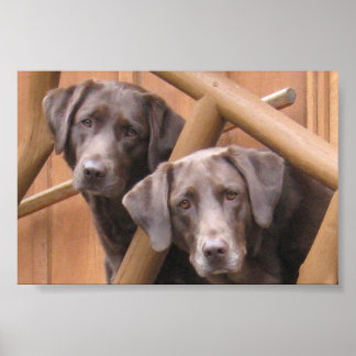 POSTER MARKS GALLERY