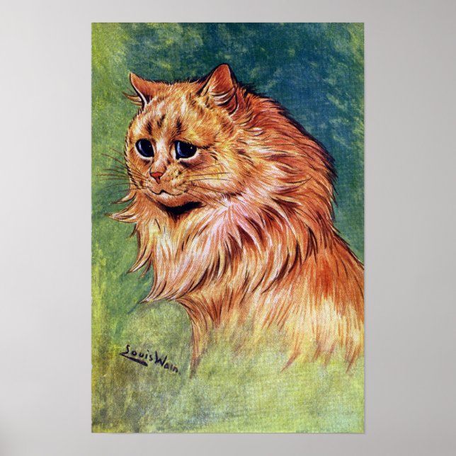 Póster Marmalade Cat com olhos azuis (Frente)