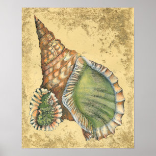 Póster Marrom e Seashell Verde