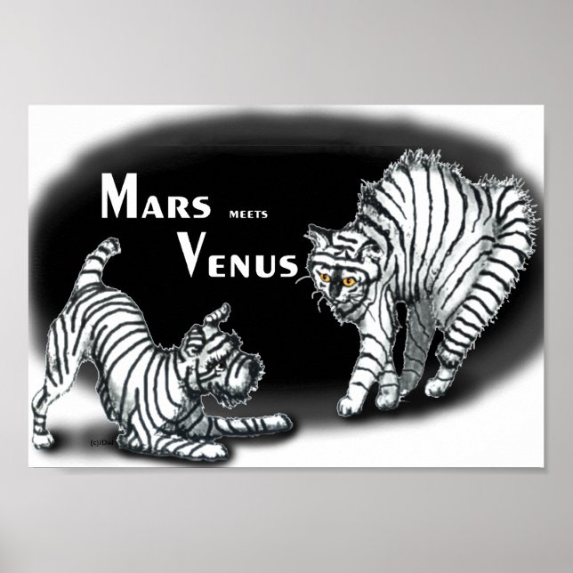 Poster Mars encontra Vênus (Frente)