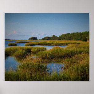 Poster Marsh