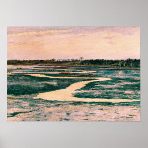 Poster Marsh com Paisagem de Vintage Céu Rosa