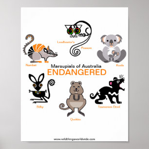 Poster Marsupiais -