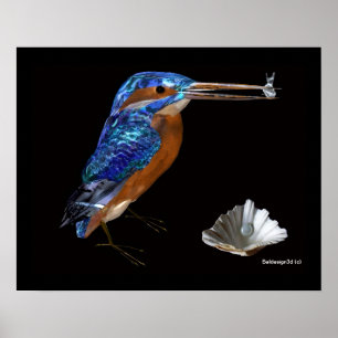 PÓSTER MARTIM-PESCADOR