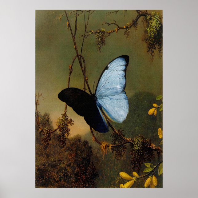 Poster Martin Johnson Heade - Borboleta Azul (Frente)
