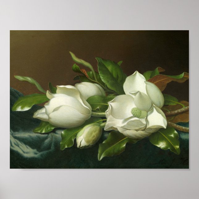 Poster Martin Johnson Heade - Magnolias em Azul Claro (Frente)