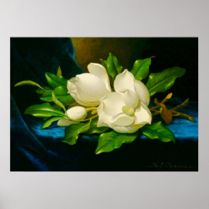 Poster Martin Johnson Heade - Magnolias em Velvet Dourado