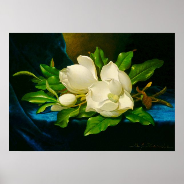 Poster Martin Johnson Heade - Magnolias em Velvet Dourado (Frente)