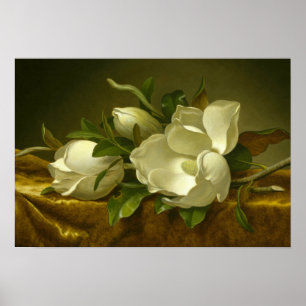 Póster Martin Johnson Heade - Magnolias em Velvet Dourado