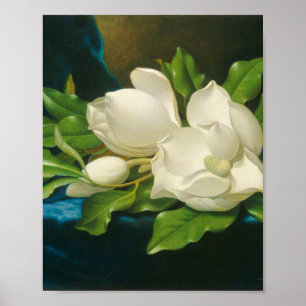Poster Martin Johnson Heade - Magnolias Gigantes
