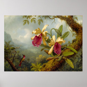 Poster Martin Johnson Heade - Orchids and hummingbird