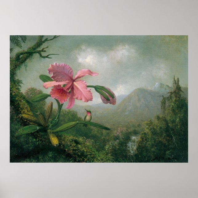 Poster Martin Johnson Heade - Orquídea com Dois Hummingbi (Frente)