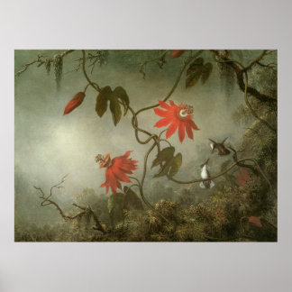 Póster Martin Johnson Heade Passion Flowers