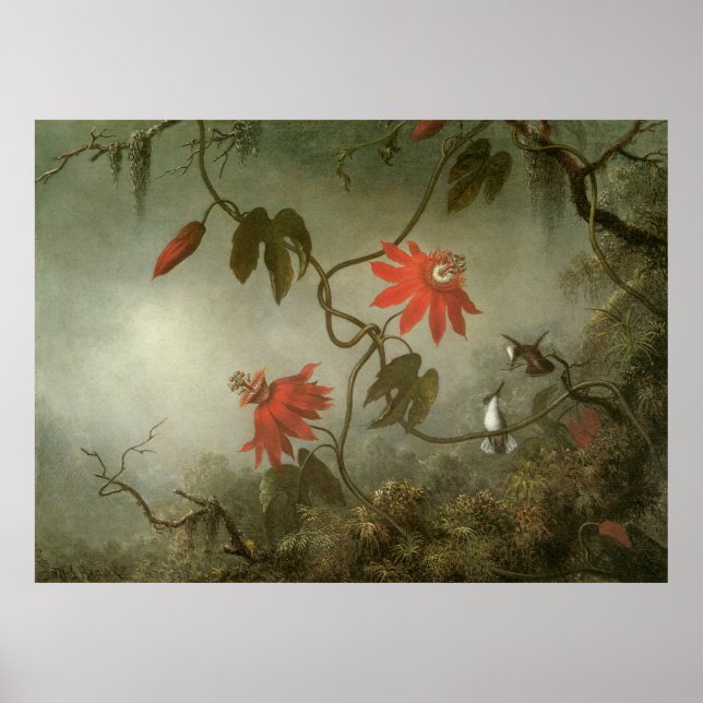 Póster Martin Johnson Heade Passion Flowers (Frente)