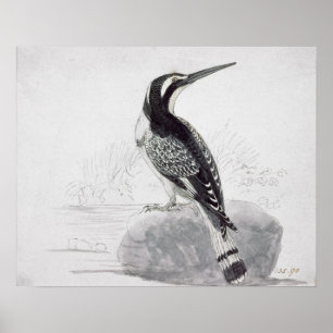 Póster Martinho pescatore preto e branco