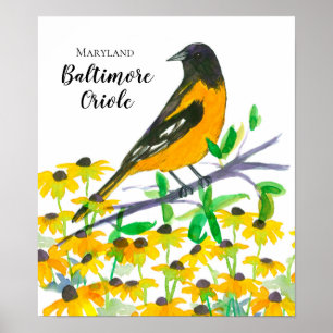 Poster Maryland Baltimore Oriole Black Eyed Susans