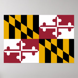 Póster Maryland Flag