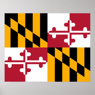Poster Maryland State Flag Design Decoration